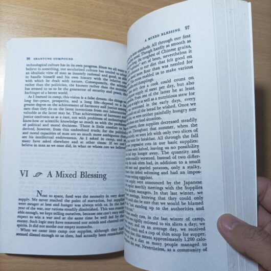 Shantung Compound: The Story of Men and Women Under Pressure - Image 3
